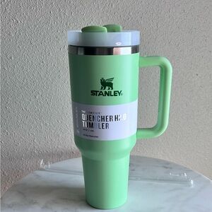 Stanley Quencher H2.0 Tumbler - Mint Green